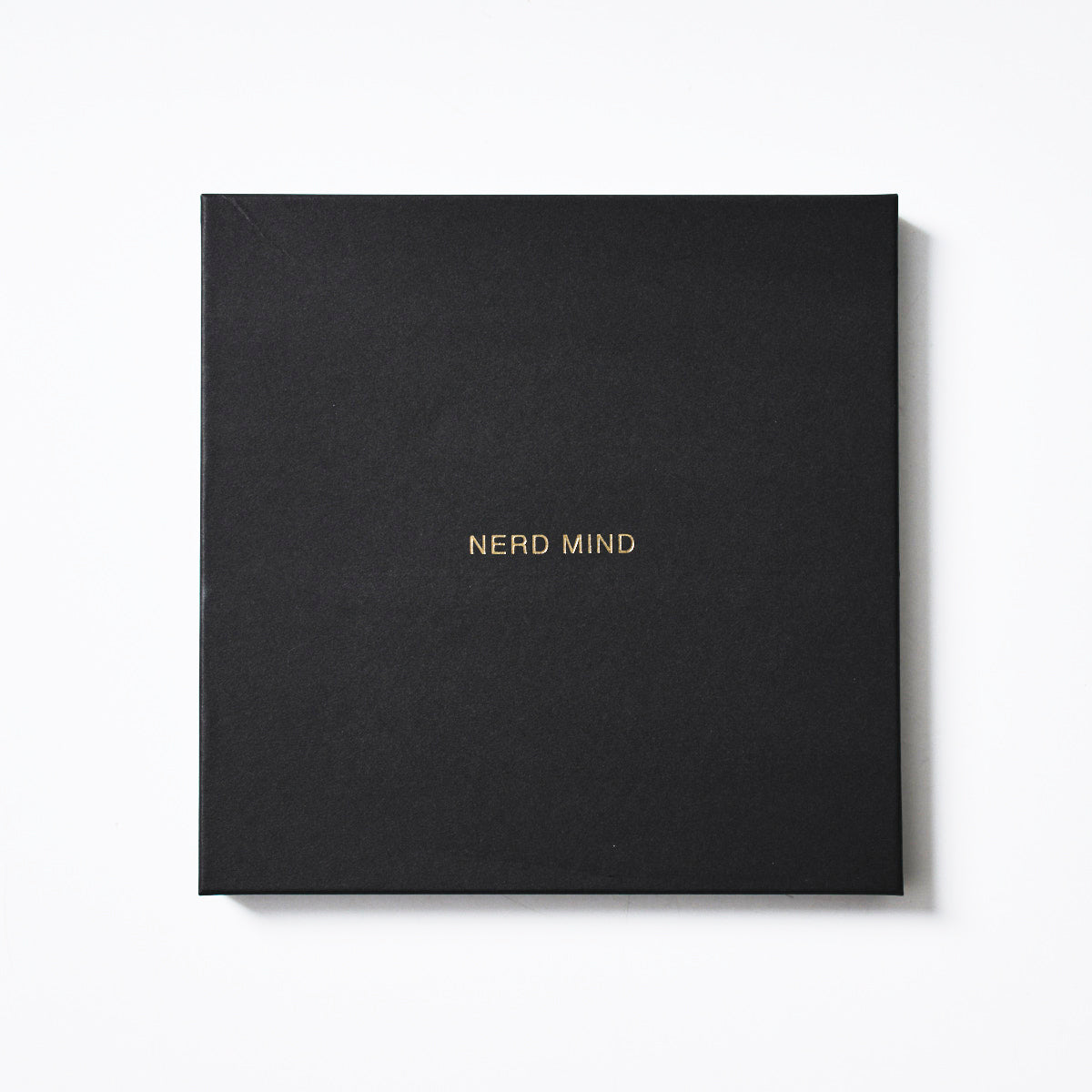 LEATHER TRAY(Limited)